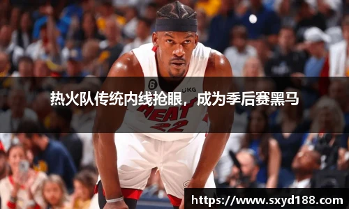 热火队传统内线抢眼，成为季后赛黑马